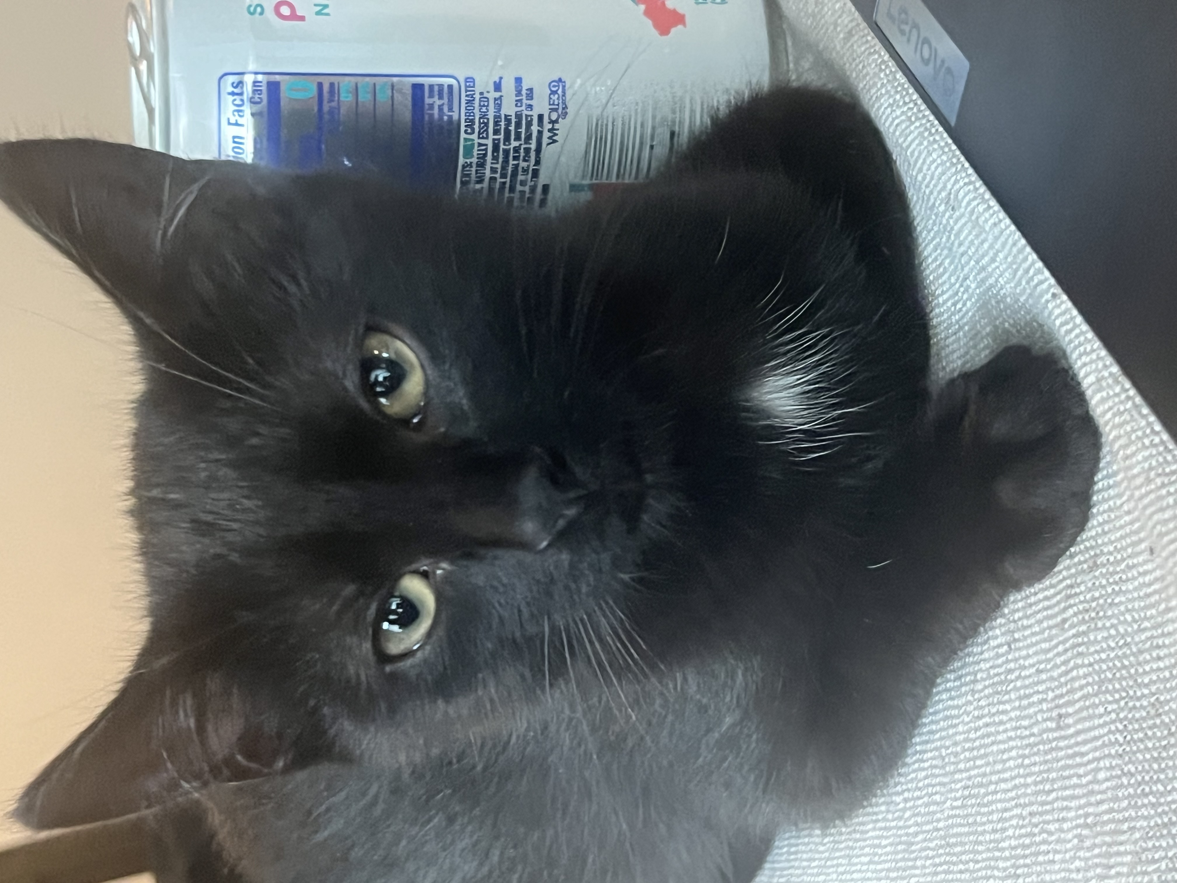 Onyx