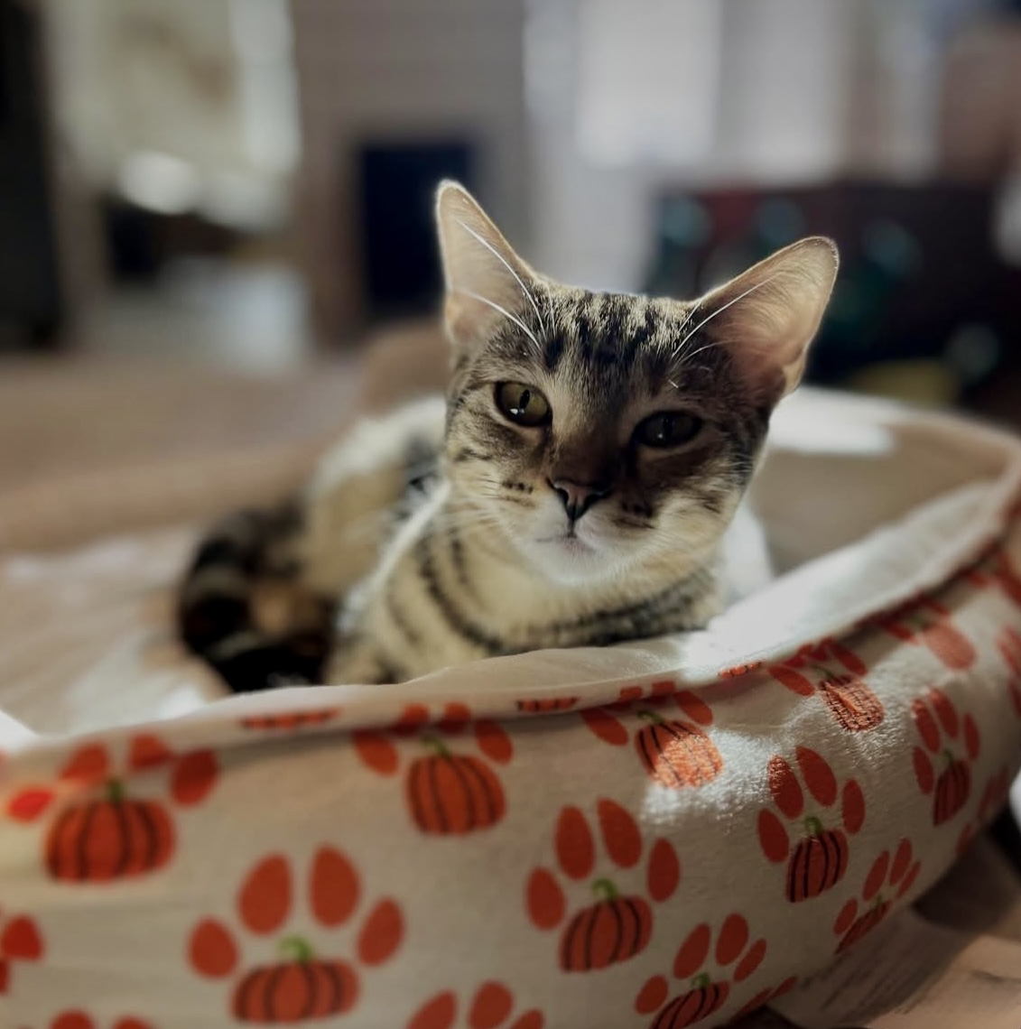 Pecan